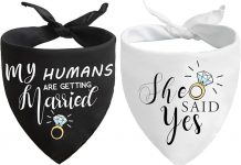 Is the ‘She Said Yes’ Dog Bandana Worth It? In-Depth Review of This Wedding Pet Accessory