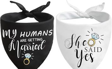 Is the ‘She Said Yes’ Dog Bandana Worth It? In-Depth Review of This Wedding Pet Accessory