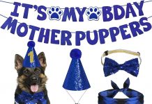 Dog Birthday Party Supplies Review: Is This Set Worth It for Your Pup’s Big Day?