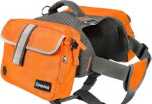 PetAmi Dog Backpack Review: Is It Worth the Hike? Unpacking Its Features & Value for Large Dogs