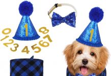 Weewooday Dog Birthday Party Supplies Review: Elegant Essentials for Your Pup’s Big Day