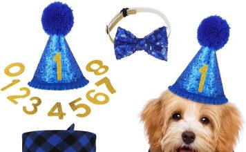 Weewooday Dog Birthday Party Supplies Review: Elegant Essentials for Your Pup’s Big Day