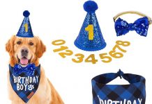 ADOGGYGO Dog Birthday Party Supplies Review: Is It Worth the Hype for Large Dogs?