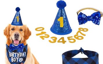 ADOGGYGO Dog Birthday Party Supplies Review: Is It Worth the Hype for Large Dogs?
