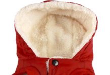 Warm Dog Winter Clothes Review: Is This Cute Fruit Coat Worth Your Investment?