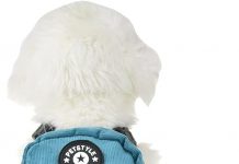 FLAdorepet Dog Backpack Harness Review: Is This Multi-Functional Harness Worth It?