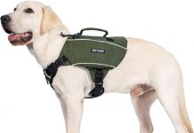 OneTigris Y-Shaped Dog Backpack Review: Is It Worth It for Your Outdoor Adventures?