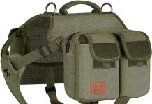 OneTigris Dog Hiking Backpack Review: Is the HOPPY CAMPER 3.0 Worth Your Adventure?