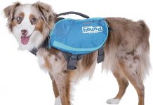 Outward Hound DayPak Dog Backpack Review: Is It Worth the Hike for Your Furry Friend?