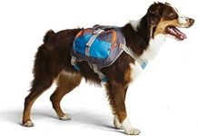 Cesar Millan Dog Backpack Review: Is It Worth It for Active & High-Energy Dogs?