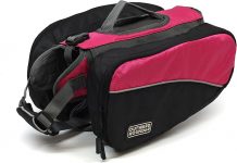 Outward Hound Kyjen 2501 Dog Backpack Review: Is This the Best Fit for Your Small Dog?