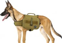 Is the Himal Outdoors Dog Backpack Worth It? Comprehensive Review & Honest Evaluation