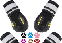 QUMY Dog Shoes Review: Top Paw Protectors for All Seasons—Worth the Investment?