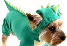 NACOCO Dog Dinosaur Costume Review: Is It Worth the Hype for Medium & Large Dogs?