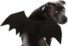 Rypet Dog Bat Costume Review: Worth the Hype for Your Pet’s Halloween Look?