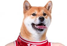 DELIFUR Dog Basketball Player Costume Review: Is This Pet Outfit Worth It?