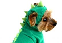 NACOCO Dog Dinosaur Costume Review: Is It Worth the Hype for Medium & Large Pets?