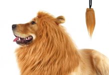 CPPSLEE Lion Mane for Dogs Review: Is This Realistic Wig Worth Your Money?