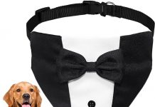 Dog Tuxedo Suit Review: Is This Formal Dog Costume Worth the Hype for Special Events?