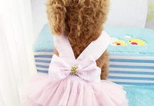 Striped Mesh Puppy Dog Princess Dress Review: Worth the Hype or Just Cute? Insights Inside