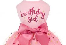 Fitwarm Birthday Girl Dog Dress Review: Is It Worth the Hype for Small Pets?