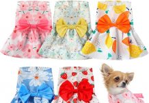 5 Pieces Dog Dresses Review: Style, Comfort & Value for Small Dogs – Worth It?