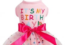 Dog Birthday Outfit Review: Stylish & Functional Polka Dot Mesh Dress for Small Pets