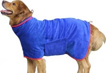 Dog Drying Coat Review: Is This Fast-Drying Microfiber Towel Worth It for Your Pet?