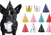 CBM Dog Party Hat Set Review: Is This 11-Piece Hat & Crown Set Worth Your Pet’s Party?