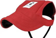 Pawaboo Dog Baseball Cap Review: Is This Sporty Sun Protection Worth It for Small Dogs?