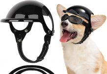 QWINEE Plaid Dog Hat Review: Stylish Sun Protection for Your Pet—Is It Worth It?