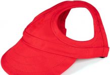 Leconpet Dog Baseball Cap Review: Is This Adjustable Sun Hat Worth It for Your Pet?