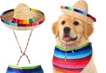 Review: Saintrygo Dog Sombrero Hat & Bandana – Is It Worth the Fiesta Fun?