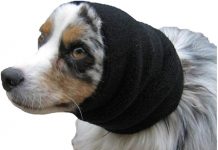 Happy Hoodie Review: Evaluating the Best Calming Band for Dogs & Cats in 2024