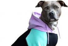 Spark Paws Dog Hoodie Review: Is This Premium 3XL Hoodie Worth the Investment?
