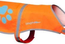 Reflective Dog Vest Review: Is the Blaze Orange Safety Worth It for Your Pup?