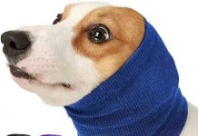 Nanaki Dog Calming Hoodie Review: Worth It for Anxiety Relief & Grooming?