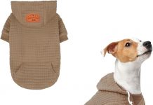 BEAUTYZOO Small Dog Hoodie Sweater Review: Cozy, Stylish, & Practical for Your Pet