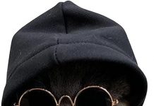 QWINEE 3Pcs Dog & Cat Apparel Review: Is This Multicolor Outfit Worth the Hype?
