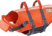 Outward Hound Granby Splash Orange Dog Life Jacket Review: Is It Worth Your Investment?