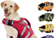 Kuoser Dog Life Jacket Review: Is It Worth the Hype? Flotation, Visibility & Fit Tested