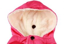 Vecomfy Fleece Lining Dog Hoodie Review: Is This Winter Coat Worth Your Investment?