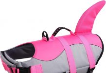 Queenmore Dog Life Jacket Review: Is This Shark Vest Worth It for Your Dog’s Safety & Comfort?