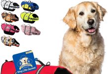Review: Is the Paws Aboard Dog Life Jacket Worth It for Water Safety & Comfort?