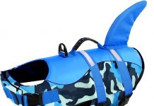 Queenmore Dog Life Jacket Review: Does It Deliver the Safety & Comfort Your Dog Deserves?