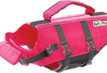 Outward Hound Granby Splash Pink Dog Life Jacket Review: Is It Worth the Investment?