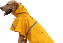 In this video, we review the NACOCO Large Dog Raincoat, a