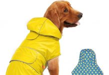 Kimee Dog Raincoat Reversible Slicker Poncho Review