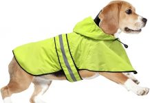 Dog Raincoat Hooded Review: Is This Lightweight Slicker Worth Your Investment?