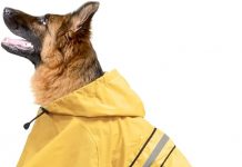 Hooded Dog Rain Coat Review: Is This Reflective, Waterproof Jacket Worth It?